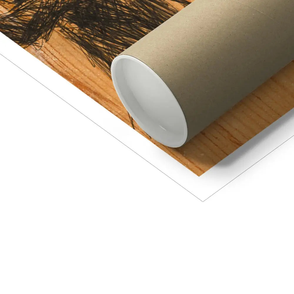 27 Wooden Woods Fine Art Print - Fine art