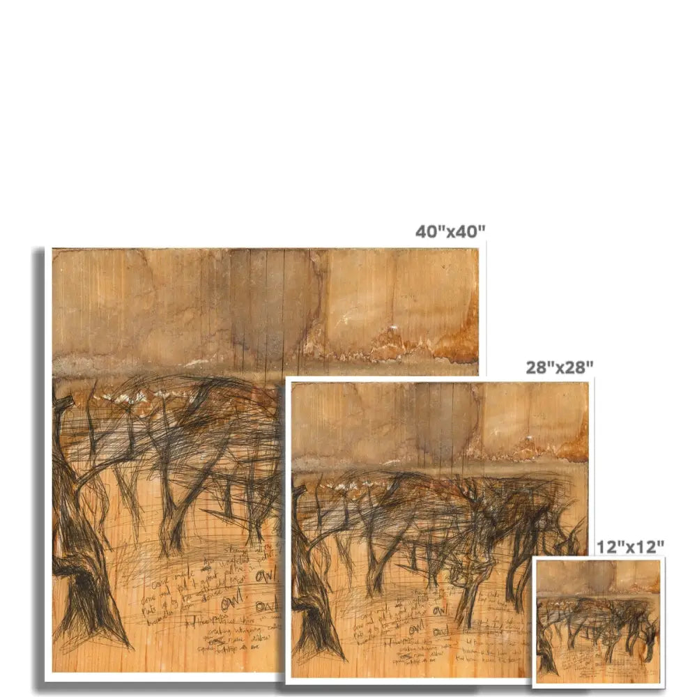 27 Wooden Woods Fine Art Print - Fine art