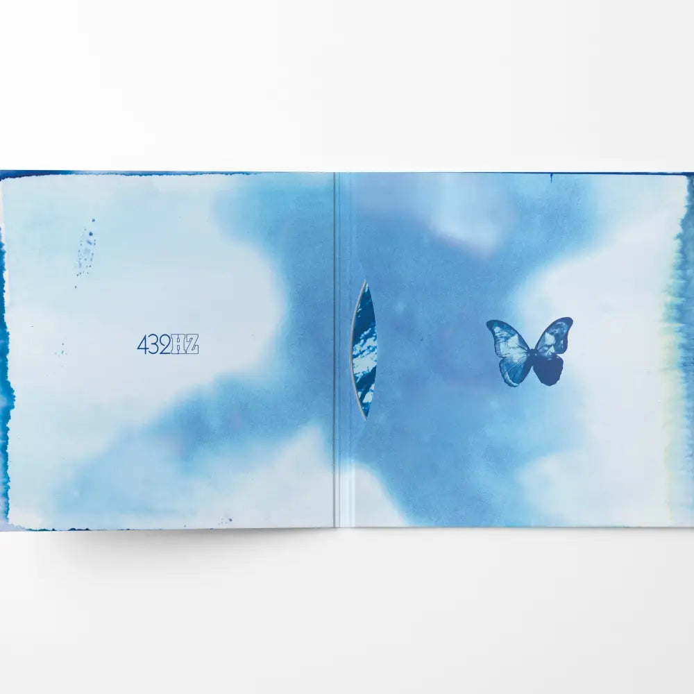 Blue Morpho - CD - Physical Music