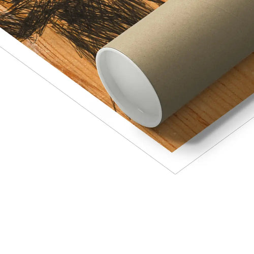 27 Wooden Woods Fine Art Print