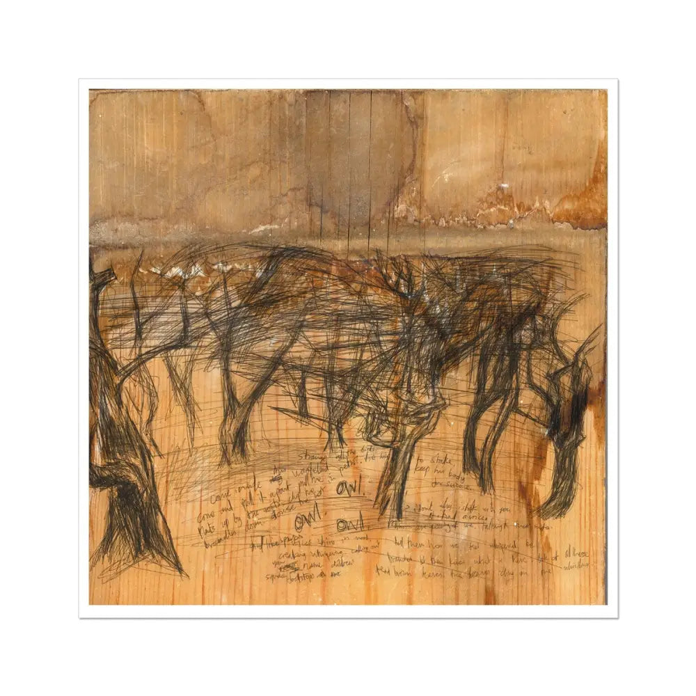 27 Wooden Woods Fine Art Print