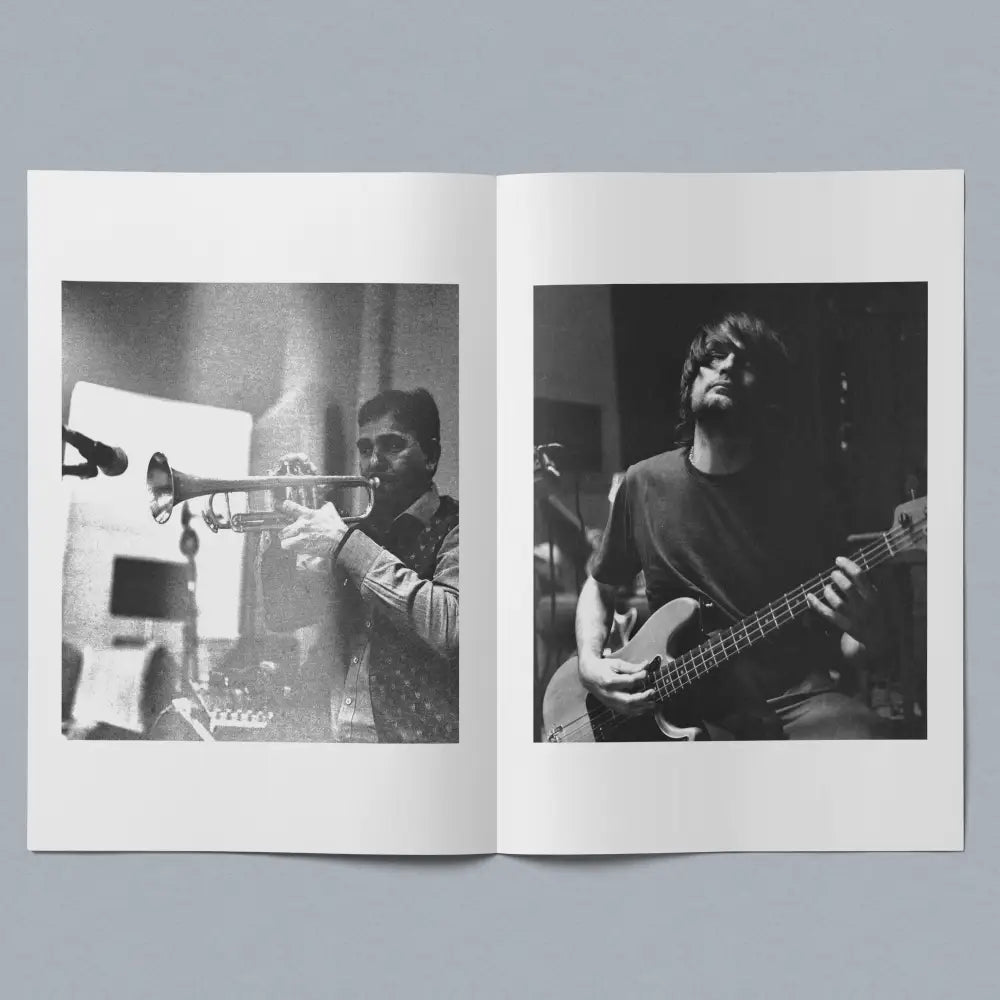 Ranjha Newspaper - Books